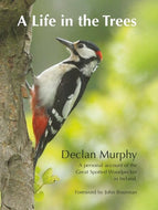 A Life in the Trees: A Personal Account of the Great Spotted Woodpecker in Ireland