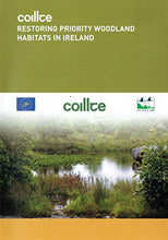 Load image into Gallery viewer, Coillte: Restoring Priority Woodland Habitats in Ireland