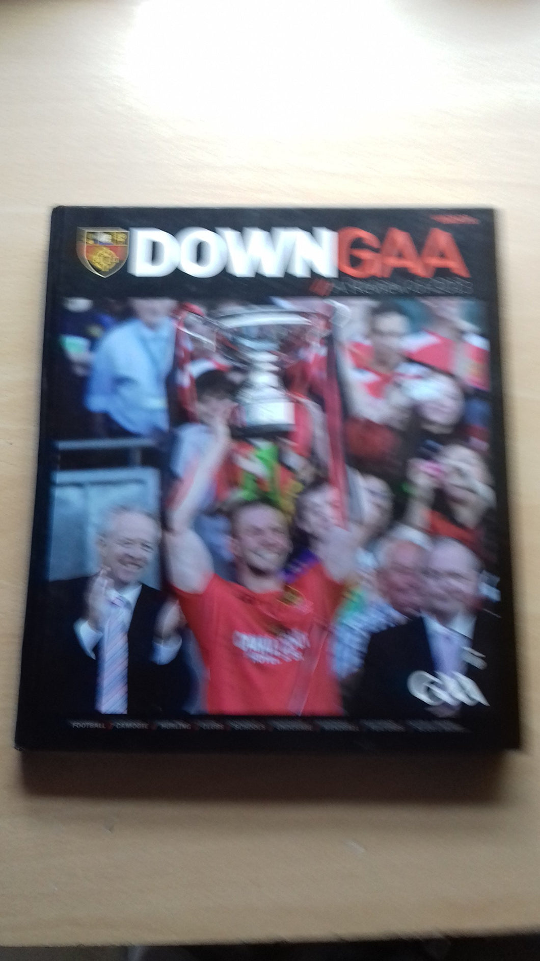 Down GAA - A Review of 2013